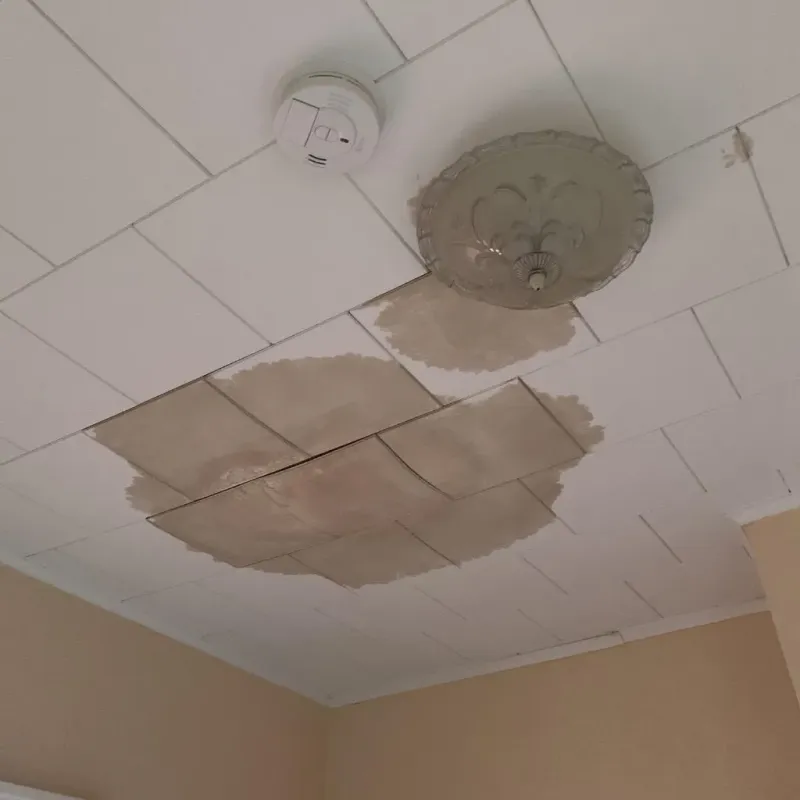 Ceiling Water Damage Repair in East Norwalk, CT