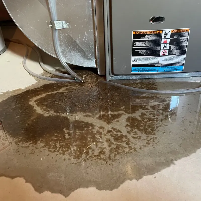 Pipe Burst and Leak Restoration in East Norwalk, CT
